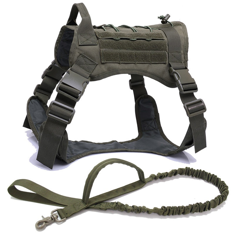 Dog Harness and Leash Set With Nylon Handle