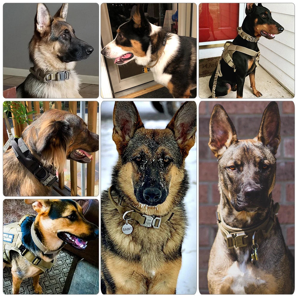 Ultimate Comfort Dog Training Set™