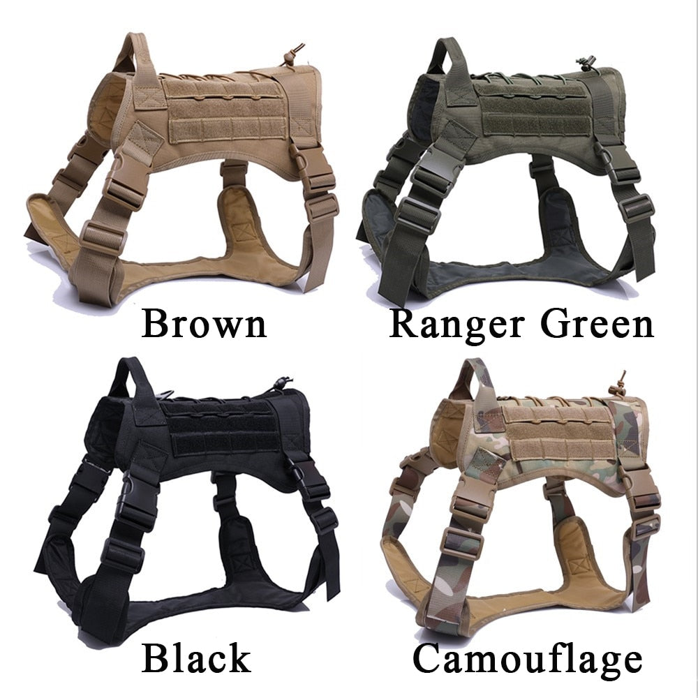Dog Harness and Leash Set With Nylon Handle