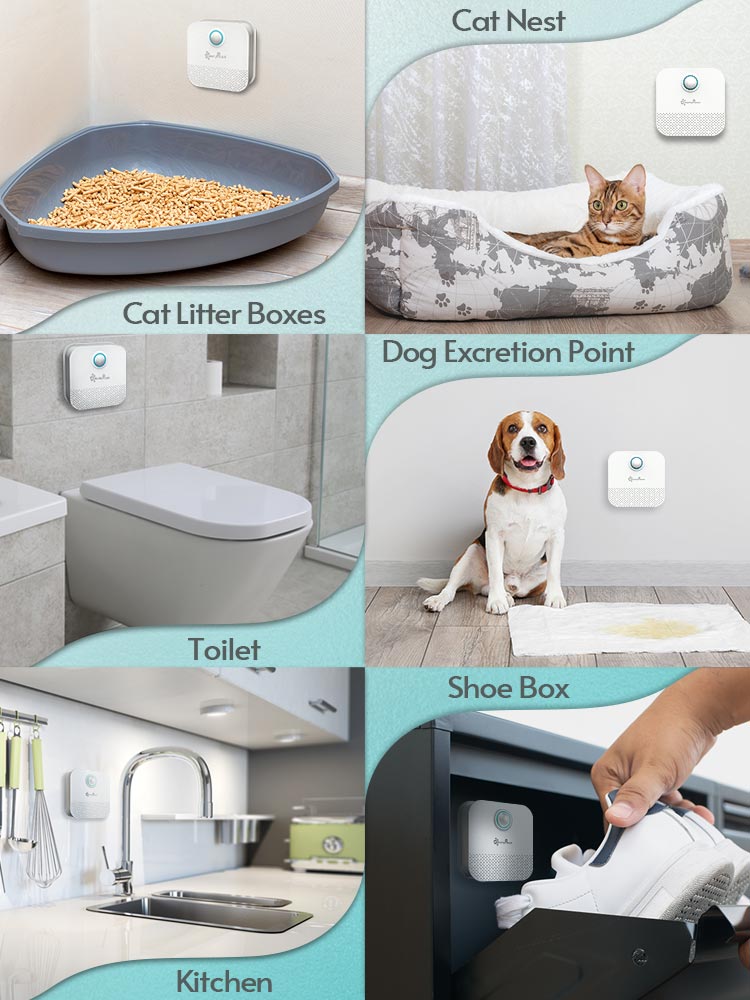 Cat's Smart Odor Purifier