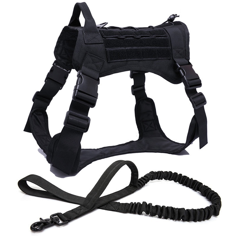 Dog Harness and Leash Set With Nylon Handle