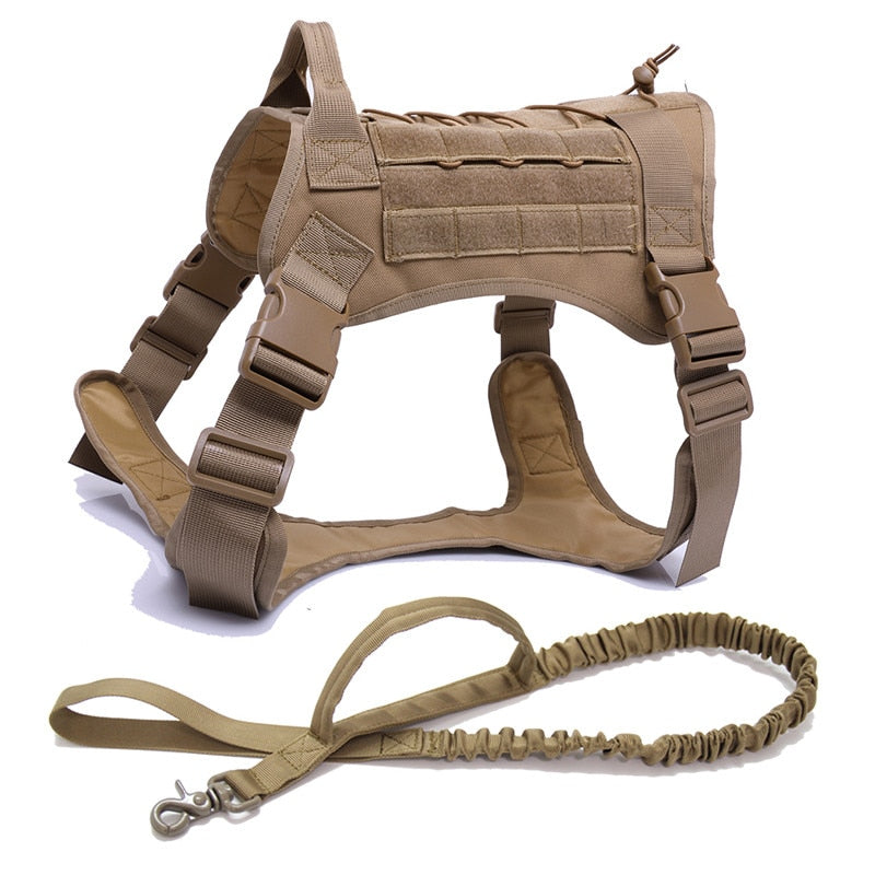 Dog Harness and Leash Set With Nylon Handle