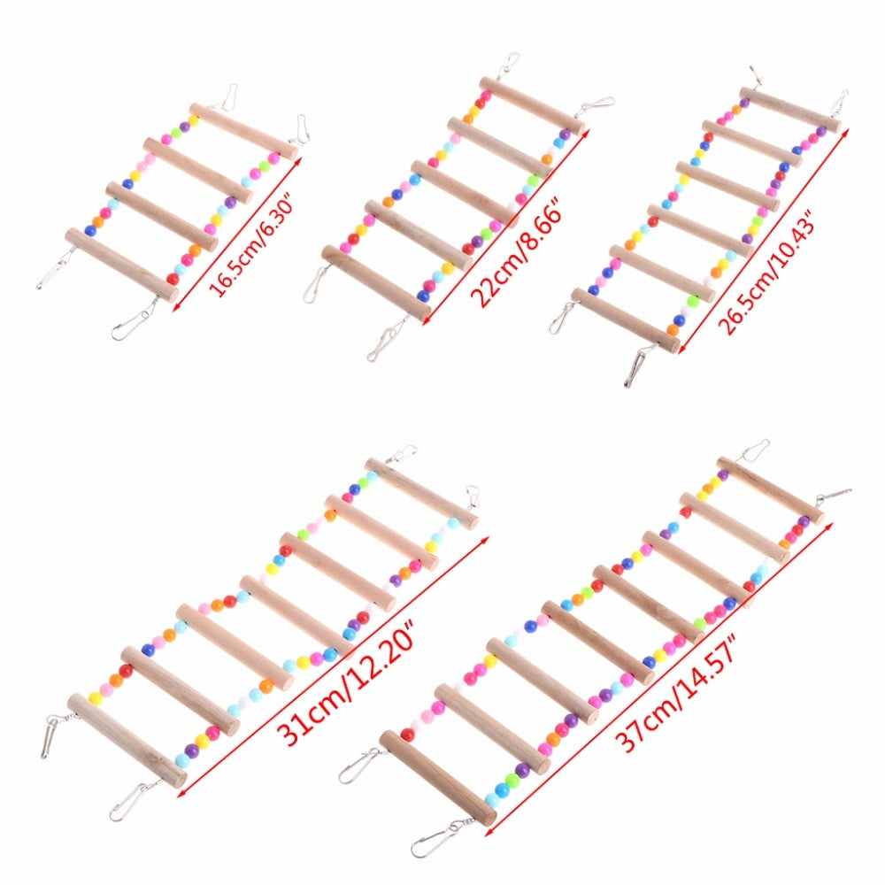 Bird's Wooden Rainbow Ladder